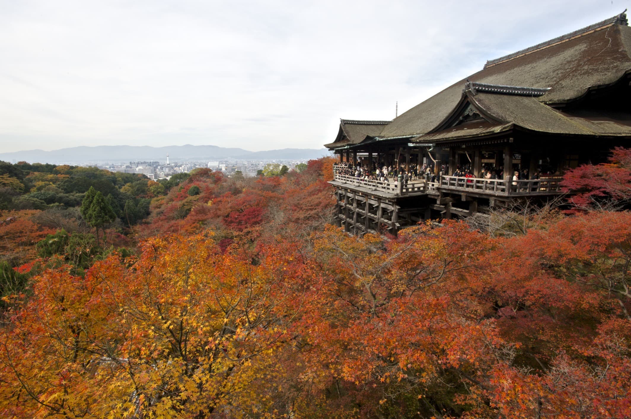 2012-kyoto01.jpg